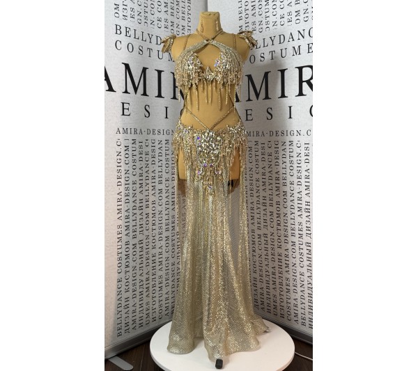 Professional bellydance costume Classic 487A_1